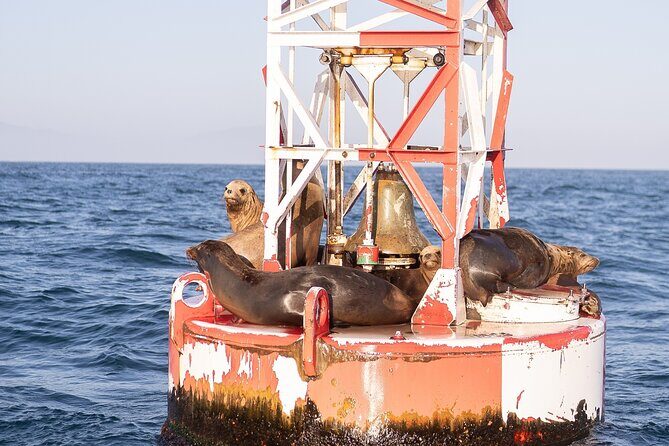 Santa Barbara Narrated Coastal Yacht Experience - The Sum Up