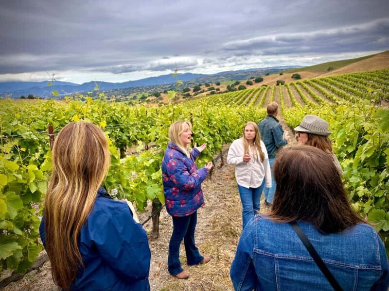 Santa Barbara: Small-Group Wine Tour to Exclusive Vineyards - An Honest Look at the Santa Barbara Small-Group Wine Tour