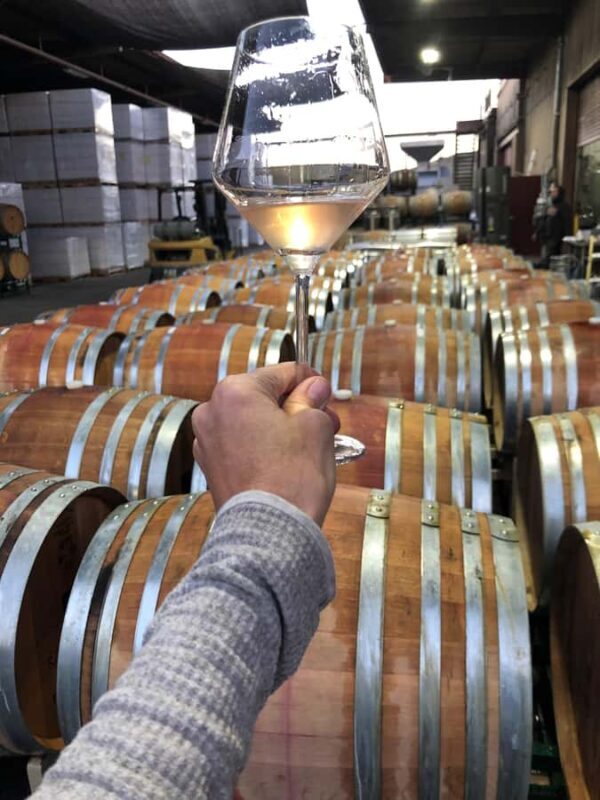 Santa Barbara: Small-Group Wine Tour to Exclusive Vineyards - Frequently Asked Questions