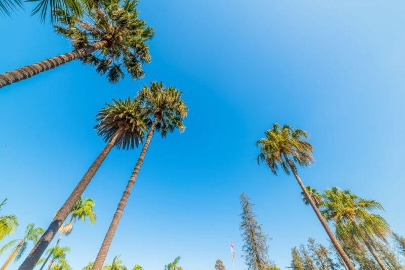 Santa Barbara: Wine, Chocolate and History Walking Tour - Price and Value