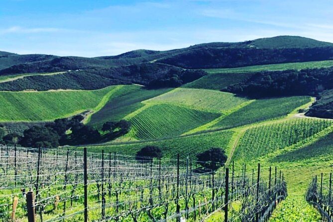 Santa Barbara Wine Country Tour - Who Is This Tour Perfect For?