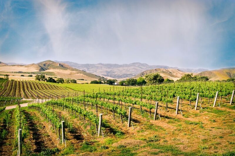 Santa Barbara: Wine Country Tour with Lunch - The Itinerary Breakdown
