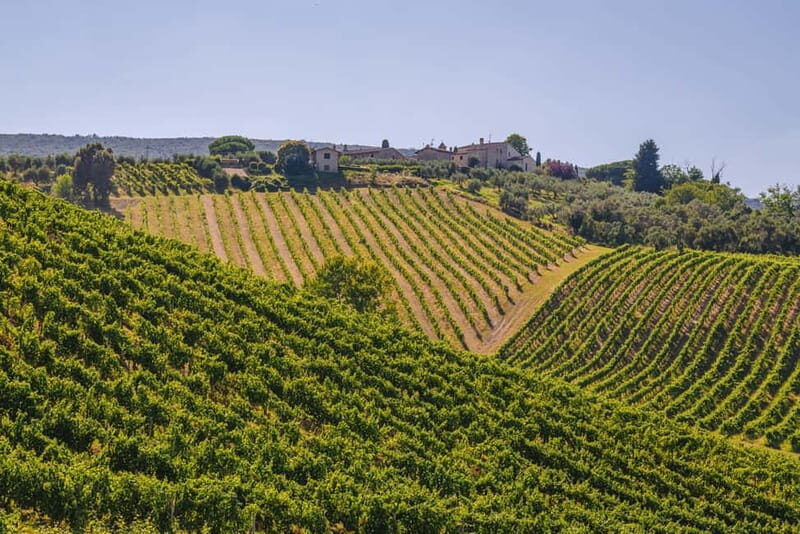 "Santa Chiara" wine tasting - Palagetto winery - The Experience Itself: What to Expect