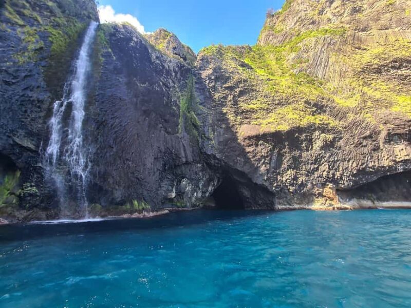 Santa Cruz das Flores: East Coast Exploration and Snorkeling - Marine Biodiversity and Snorkeling