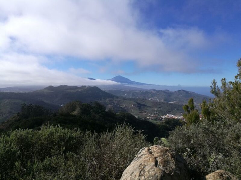 Santa Cruz de Tenerife: 2-Hour Hiking Tour in Anaga Forest - The Guides: Knowledge and Friendliness Matter