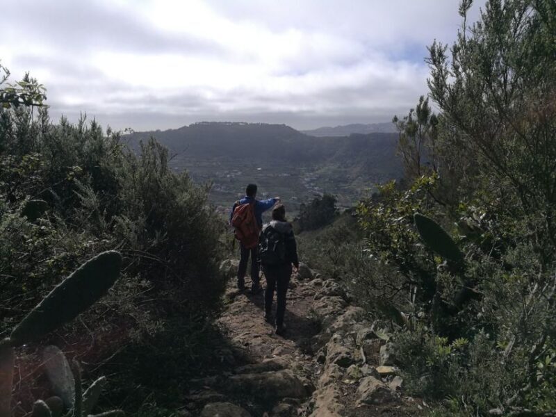 Santa Cruz de Tenerife: 2-Hour Hiking Tour in Anaga Forest - FAQs About the Anaga Forest Hiking Tour