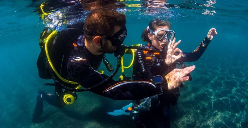 Santa Cruz de Tenerife: Beginner's Diving & Introduction - Key Points