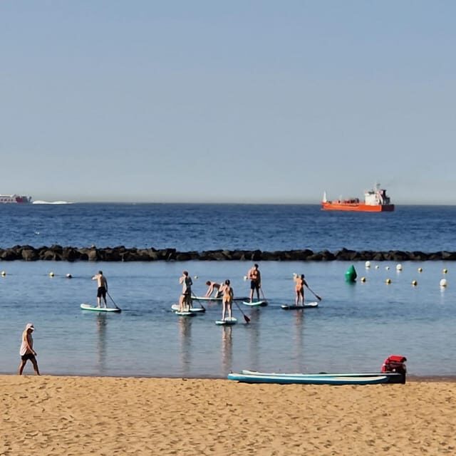 Santa Cruz de Tenerife: Las Teresitas Stand Up Paddle Course - The Value of the Experience