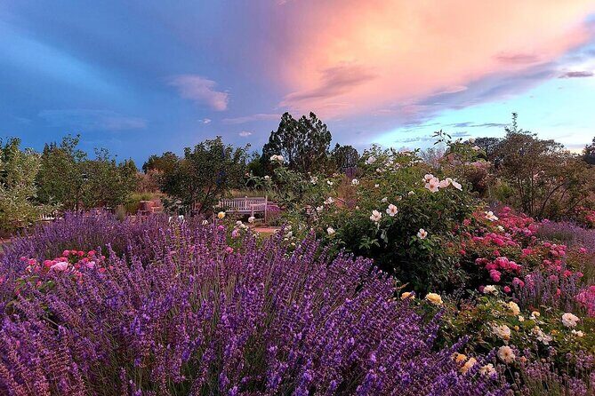 Santa Fe Botanical Garden General Admission Ticket - What to Expect from Your Visit
