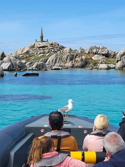 Santa-Giulia: Half-day trip, Lavezzi Islands and Bonifacio cliffs - What to Expect from This Corsican Sea Adventure