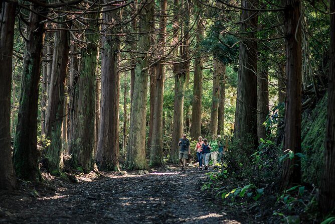 Santa Maria - Walking Tour Guide - Exploring Santa Maria on Foot: What You Can Expect