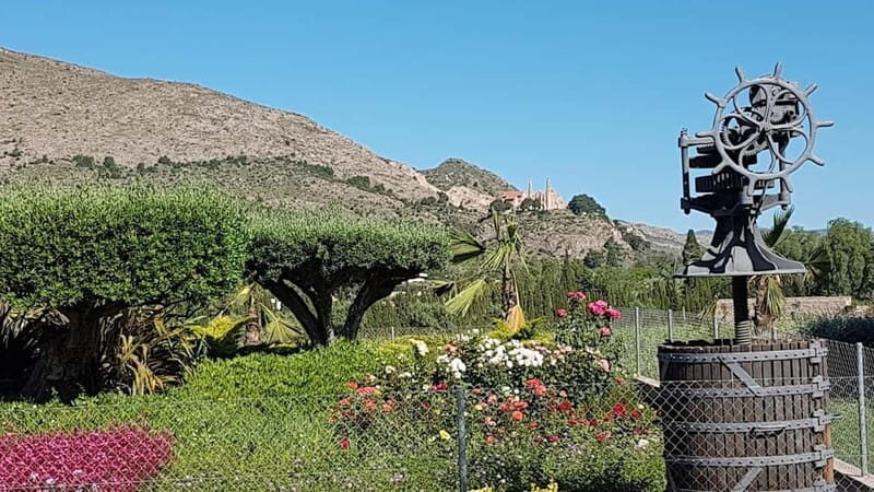 Santa Pola, Gran Alacan, Urbanova: Guided Wine Tasting Tour - An Honest Look at the Guided Wine Tasting Tour