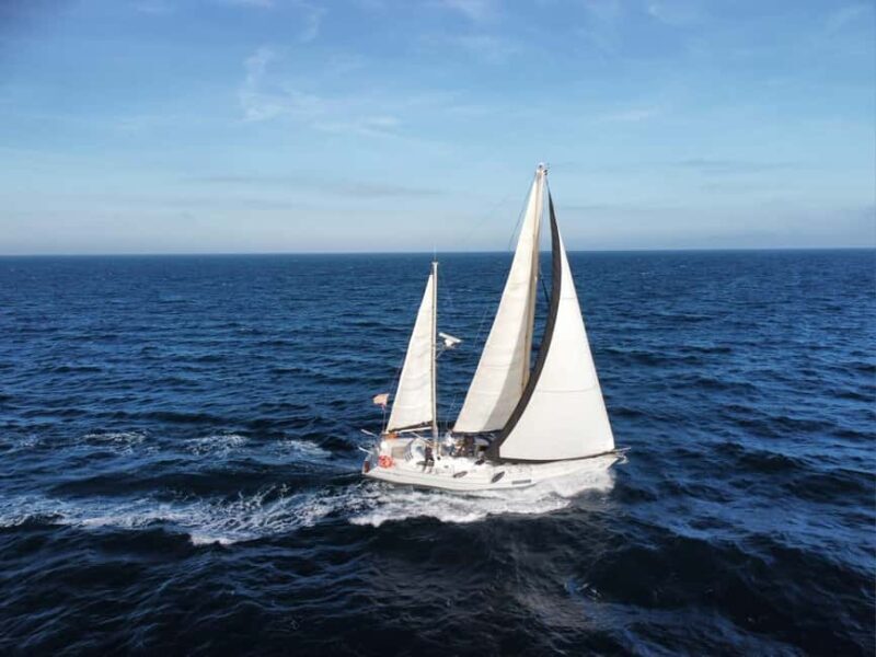 Santa Pola: Sail to Tabarca, snorkel, and enjoy sunset with a tasting - What to Expect from the Santa Pola to Tabarca Tour