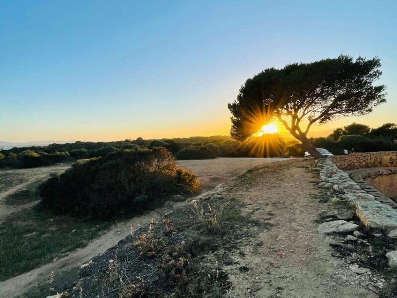 Santa Ponca: CoupleWalk, fun game and city walk for couples - The Experience’s Pros and Cons