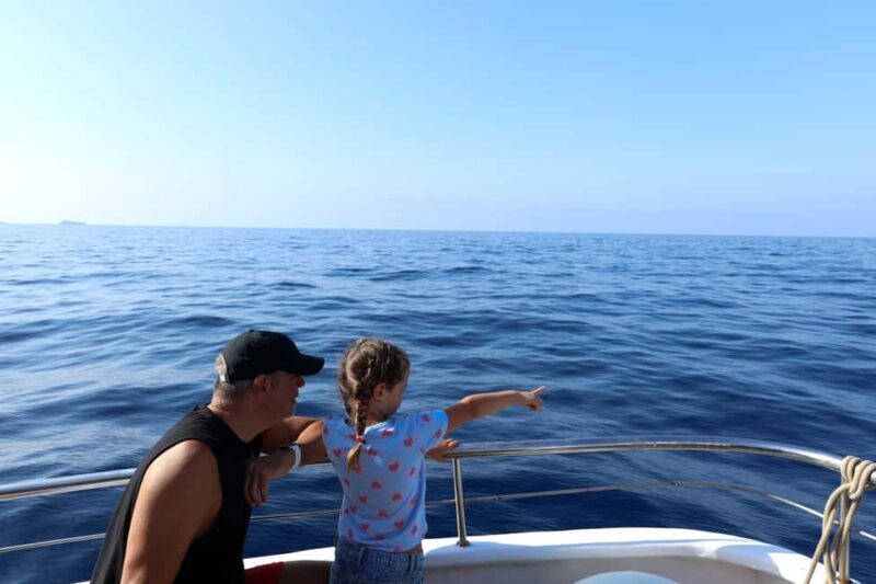 Santa Ponsa: Dolphin Watching Cruise - Swim Stops and Other Highlights