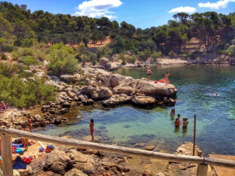 Santa Ponta/Peguera: Dragonera Island Cruise with Swim Stop - Final Thoughts: Is This Tour Right for You?