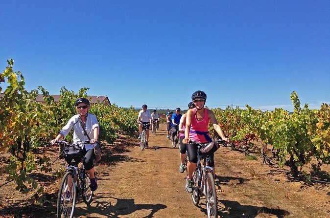 Santa Rosa Bike & Wine Tour - Value for Money and Overall Experience