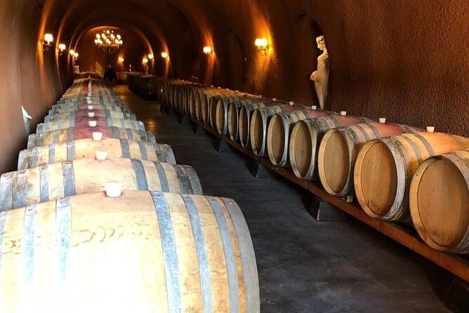 Santa Rosa North Sonoma County Small Group Winery Tour - Who Should Book This Tour?