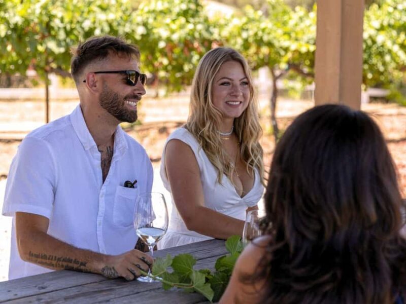 Santa Ynez: 3-Winery Tour Includes Tastings and Lunch - Why Choose This Santa Ynez Winery Tour?