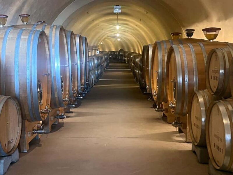 Santa Ynez: 3-Winery Tour Includes Tastings and Lunch - Who would this tour be perfect for?