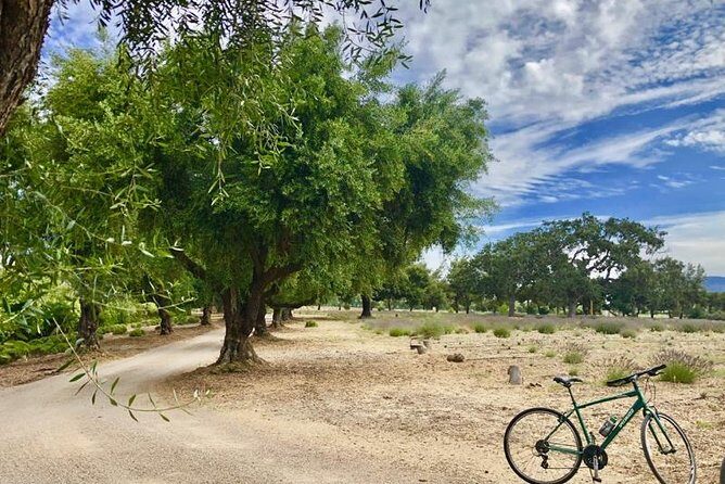 Santa Ynez Valley Biking and Wine Tasting Tour - Final Thoughts