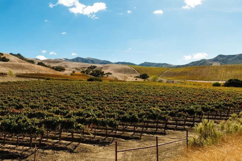 Santa Ynez Valley: Sideways Movie Inspired Wine Tour - Key Points
