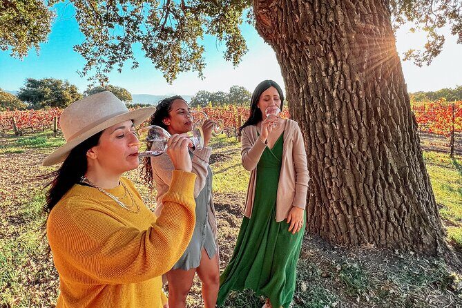 Santa Ynez Wine Shuttle - Final Thoughts