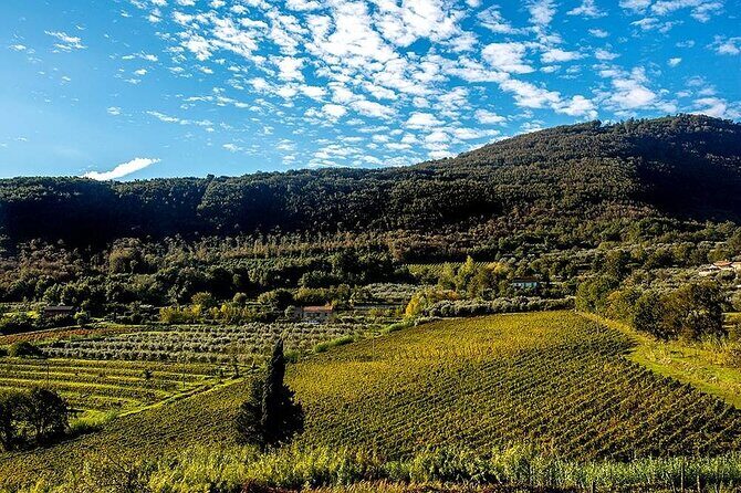 Sant'Agata de' Goti wine tasting and cooking class experience - Key Points: