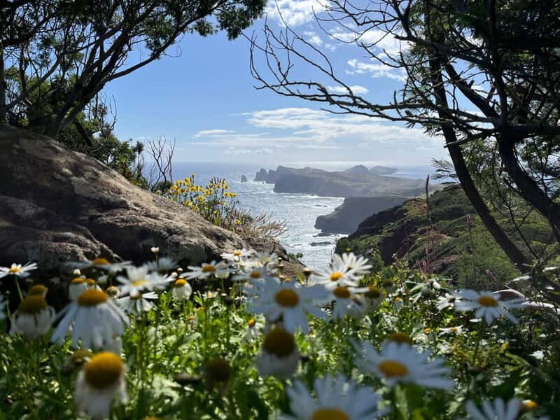 Santana: 4x4 Full-Day Tour to Northeast of Madeira Island - What Makes This Tour Stand Out?