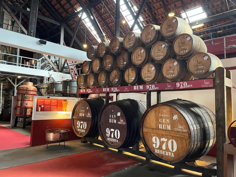 Santana: 4x4 Full-Day Tour to Northeast of Madeira Island - Who Is This Tour Perfect For?