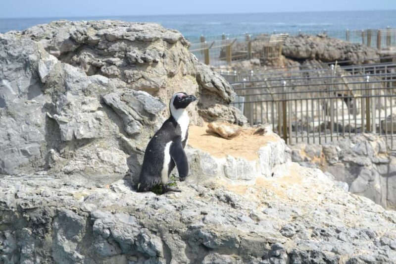 Santander Mysteries and Legends Tour - Smugglers’ Passages and Haunted Alleys