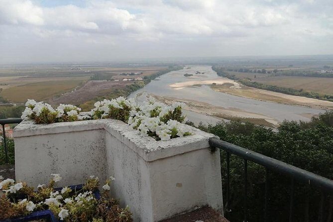 Santarem Sul: Santo Milagre, Pedro Alvares Cabral, Gothic, Portas do Sol, Art - Who Should Consider This Tour?