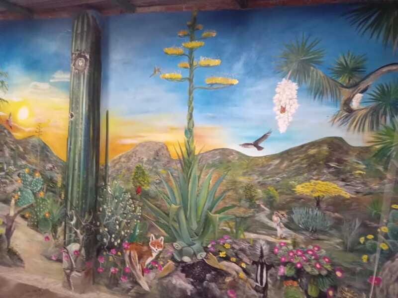 Santiago de Anaya, Hidalgo: Food tour. Experience among stoves. - FAQ