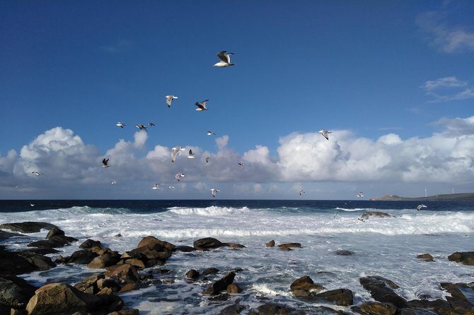 Santiago de Compostela: Finisterre, Muxía & Costa da Morte - FAQ: Your Practical Questions Answered