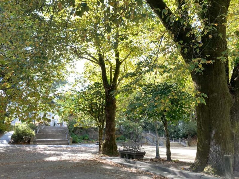 Santiago de Compostela: Urban and Heritage Tour - Who Should Consider This Tour?