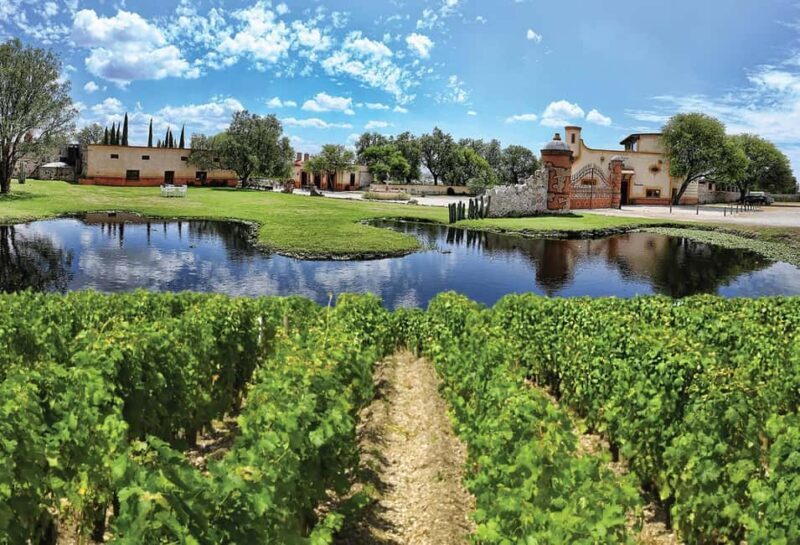 Santiago de Querétaro: Pueblos Mágicos Cheese and Wine Route - Price and Value