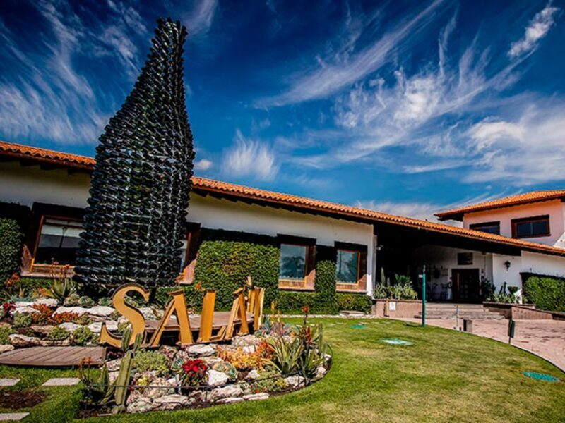 Santiago de Querétaro: Pueblos Mágicos Cheese and Wine Route - Who Is This Tour For?