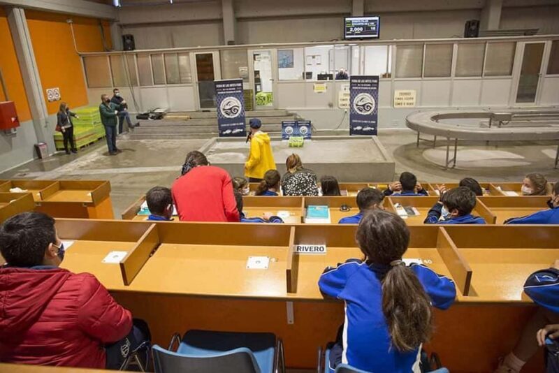Santoña: Anchovy Art Gallery with Fishing Port and Market - Exploring the Tour Breakdown