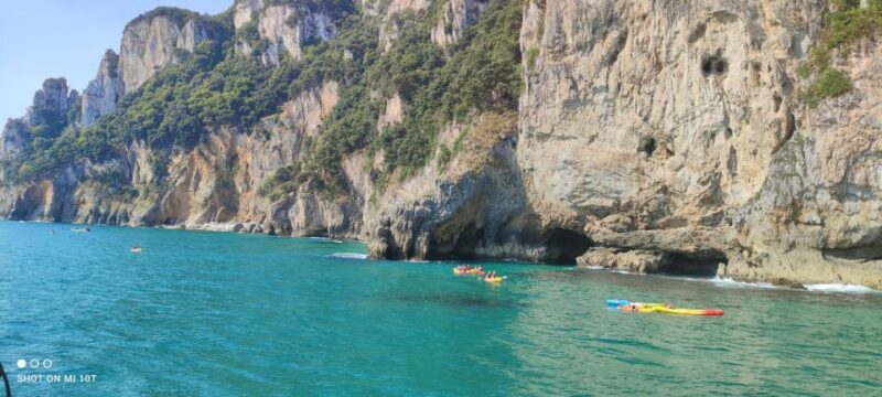 Santoña: Anchovy Factory Tour and Boat Trip - Is This Tour Worth It?