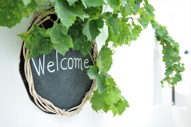 Santorini 3-Winery Tour with 12 Wine Tastings and Oia Sunset - A Deep Dive into the Experience