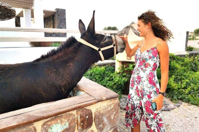 Santorini 4 hours Private Tour : Visit all the hotspots - A Close Look at the Itinerary