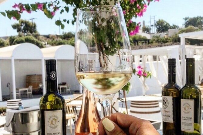 Santorini: 4hr Private Wine Tasting Tour - The Atmosphere and Guides