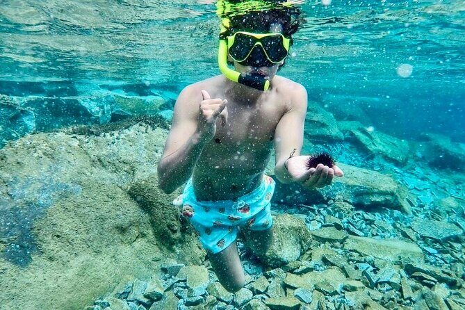 Santorini Caldera Day Traditional Cruise with Meal and Drinks - Final Thoughts: Is This Tour Right for You?