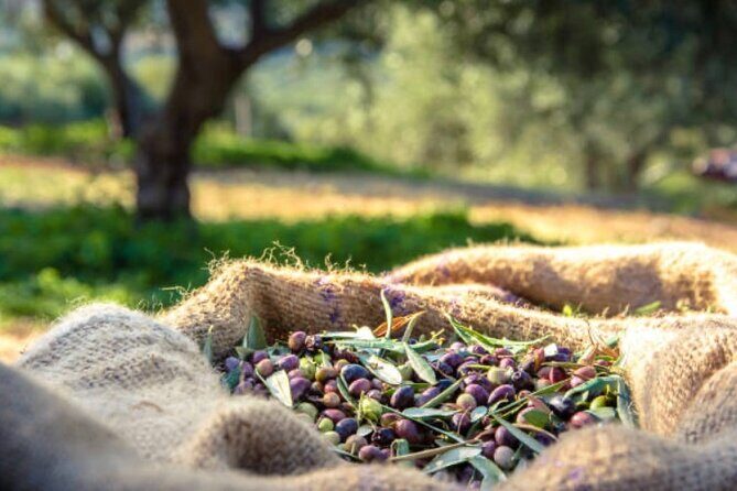 Santorini Deluxe Tour for Cruise Passengers - FAQ