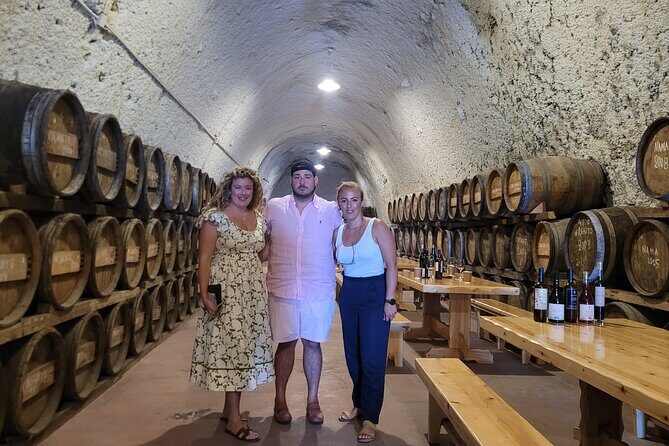 Santorini Exclusive Golden Wine Tasting Tour Experience - Who Is This Tour Best For?
