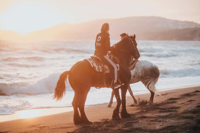 Santorini: Extreme Horse Safari with Beach Gallop - Key Points