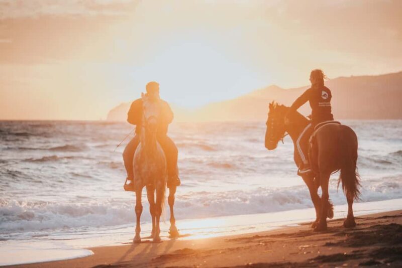Santorini: Extreme Horse Safari with Beach Gallop - Who Will Love This Experience?