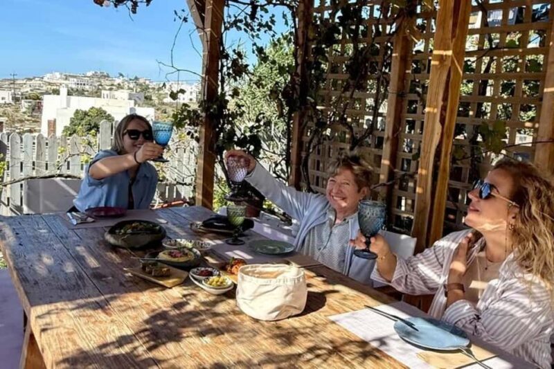 Santorini: Farm Visit With Lunch and Village Tour - In Summary