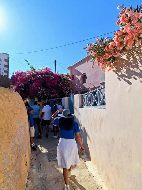 Santorini: From Reel to Real  Private Tour of Hidden Gems - Additional Costs & Optional Extras