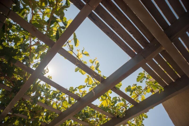 Santorini: Greek Food & Wine Tasting Tour - Final Thoughts